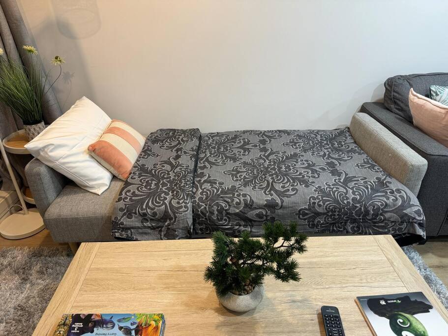 Stunning 3 Bd - 2 Bth City Apt - Pool & Carpark Окленд Экстерьер фото
